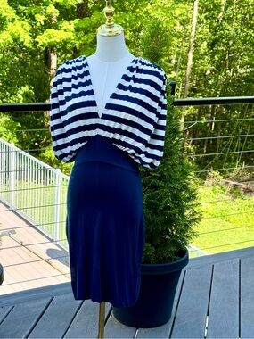 Venus Navy Striped Dress